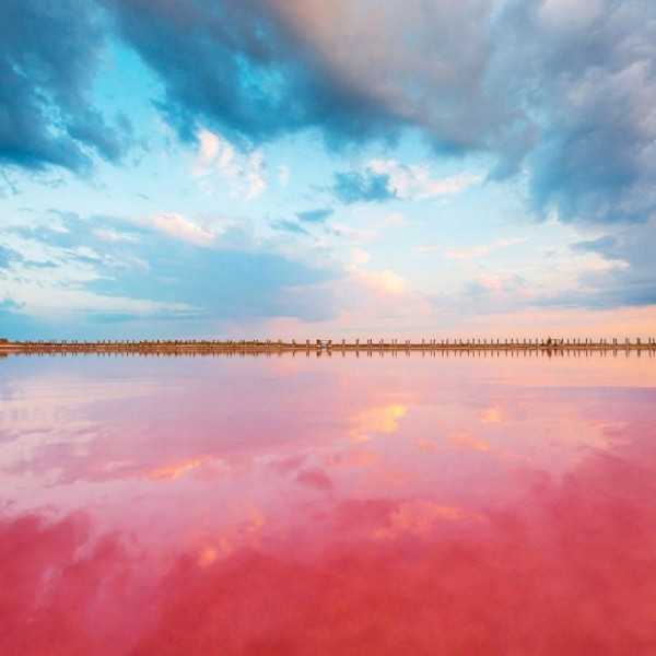 Розовото езеро: Зошто по него полуде светот?