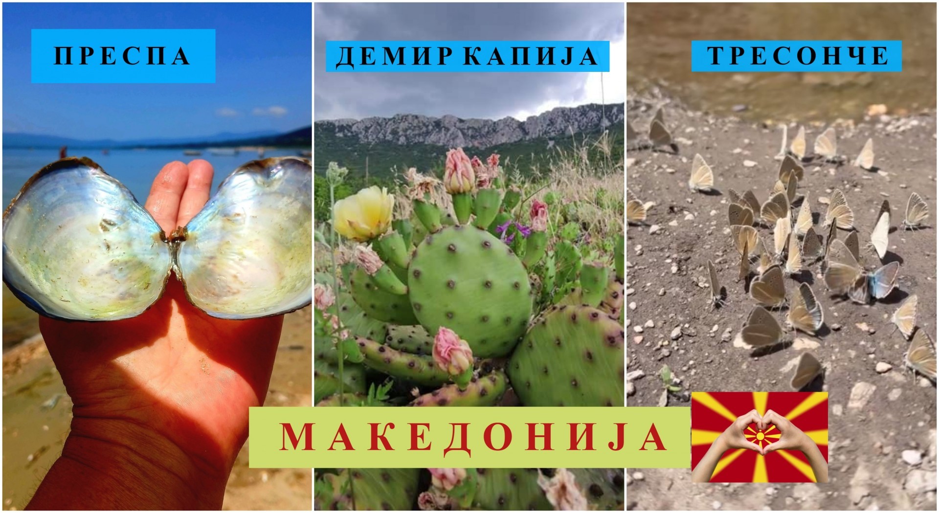 Од Преспа, преку Демир Капија до Тресонче: Природни феномени што ќе ве остават без здив