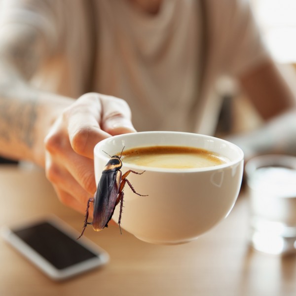 Доктор шокира со неговата изјава за кафето: „Она што го пиете наутро содржи лебарки“