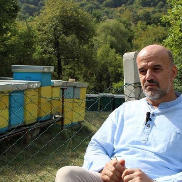 Денес е светски ден на пчелите „Медот всушност е последен производ по вредност“: Пчелар од Босна отфрли митовите за пчелните производи