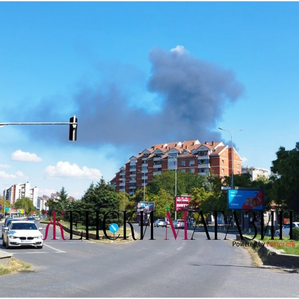 Што сѐ ни влегува во крвта додека го дишеме загадениот воздух?