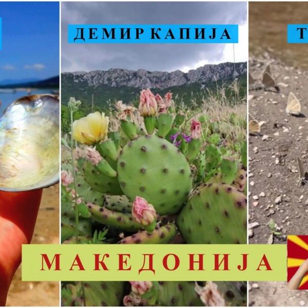 Од Преспа, преку Демир Капија до Тресонче: Природни феномени што ќе ве остават без здив