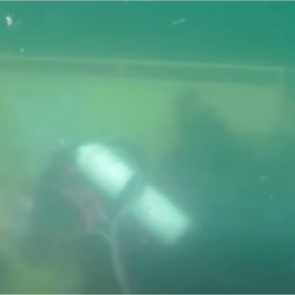 Научниците спуштија камери на дното на морето и открија живот на експлозивни направи