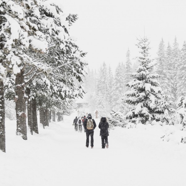 ЗИМА КАКО ОД 80 -ТИТЕ: На Балканот се очекува нешто што генерациите претходно не го доживеале! Еве кога започнува