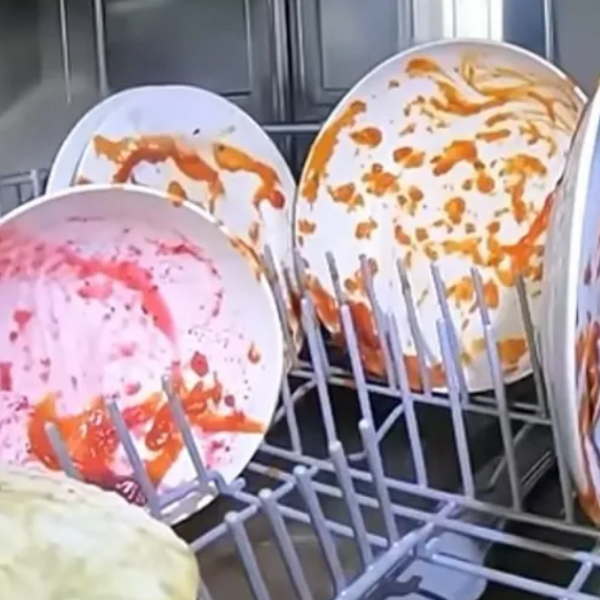 Ставил камерка во машина за перење садови: Луѓето гледаат и не веруваат-што се случува?