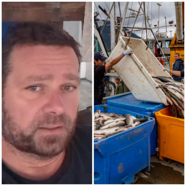 Божидар работи 12 часа на ден во фабрика за риба во Алјаска, но за два и пол месеци заработува богатство