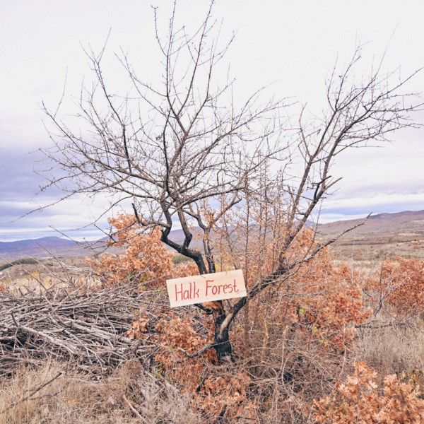 Халкбанк со голема акција за пошумување во Делчево како дел од иницијативата „Еден милион садници за пет години“