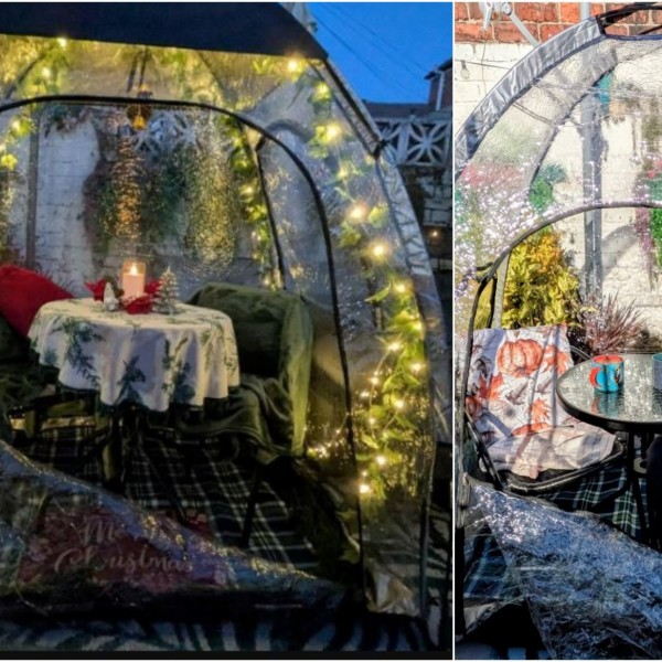 За евтина цена, добила сè што ѝ е потребно за совршена празнична атмосфера од Тему: Купила градинарско игло што му пркоси на ветер и дожд